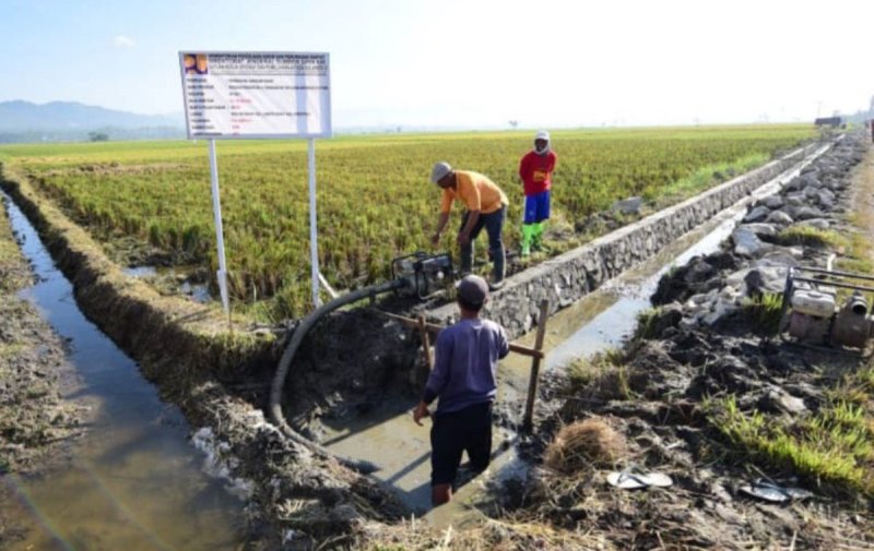 Irigasi Tersier Metode Cepat Mengairi Sawah