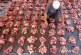 Pemkot Banda Aceh Laporkan 1.408 Hewan Kurban dari Warga Telah Siap untuk Idul Adha