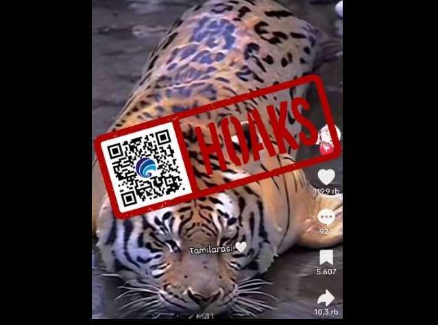 Hoaks Persilangan Harimau dan Anjing Laut