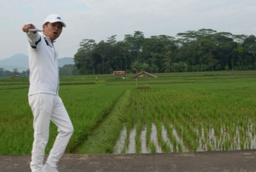 Bima Arya Mundur dari Pilgub Jabar, Kader Golkar Dampingi Dedi Mulyadi