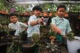 FOTO Edukasi Kebun Tanaman Hias di SDI Al-Syukro Universal, Tangsel