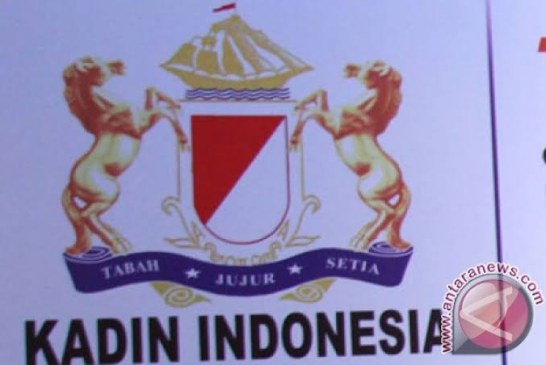 Usai ‘Tebang’ Golkar, Imbalannya Jokowi ‘Dongkel’ Kadin? 