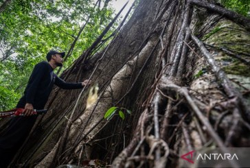 Dispar Kalsel Gaet Puluhan Pemuda Bentuk Meratus Geopark Youth Forum